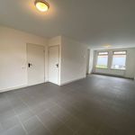 Rent 2 bedroom house of 115 m² in Eindhoven