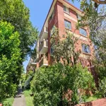 Rent 1 bedroom apartment in Randwick