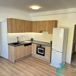 Rent 4 bedroom house in České Budějovice