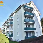 Rent 1 bedroom apartment of 35 m² in Chemnitz