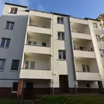 Rent 1 bedroom apartment of 34 m² in Chemnitz