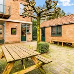 Rent 6 bedroom house of 150 m² in Aerdenhout-Centrum