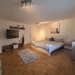 Rent 1 bedroom apartment of 45 m² in Kaiserslautern