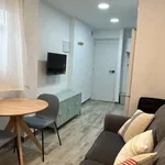 Rent 1 bedroom apartment in seville