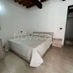 Rent 1 bedroom apartment of 45 m² in Carpi