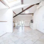 Rent 3 bedroom apartment of 80 m² in Pisa