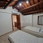 Rent 3 bedroom apartment of 90 m² in Padova