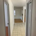 Rent 3 bedroom apartment in Irving