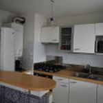 Rent 2 bedroom apartment of 66 m² in TOULOUSE