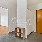 Rent 4 bedroom apartment in Capital City of Prague