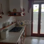 Rent 2 bedroom apartment of 82 m² in Siena