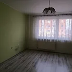 Rent 1 bedroom apartment in Děčín