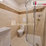 Rent 2 bedroom apartment of 34 m² in Prague