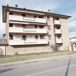 Rent 4 bedroom apartment of 100 m² in Colorno