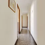 Rent a room in murcia