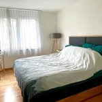 Rent 4 bedroom apartment in Winterthur