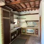 Rent 7 bedroom house of 250 m² in Orte