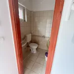 Rent 2 bedroom house of 300 m² in budapest