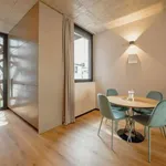 Rent 1 bedroom apartment in porto