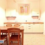 Rent 4 bedroom apartment of 117 m² in Florence