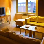 Rent 1 bedroom apartment of 65 m² in Antwerp