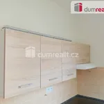 Rent 1 bedroom apartment in Děčín