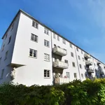 Rent 2 bedroom apartment of 51 m² in Chemnitz