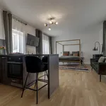 Rent 1 bedroom apartment of 42 m² in Prague