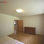 Rent 3 bedroom apartment of 70 m² in Střelice