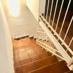 Rent 2 bedroom apartment of 38 m² in Catania