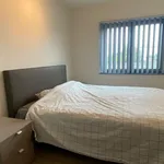 Rent 1 bedroom apartment in Hasselt