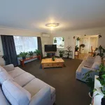 Rent 1 bedroom house in Tauranga