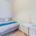 Rent a room of 161 m² in Padua