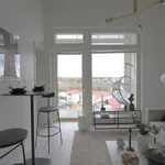 Vuokraa 2 makuuhuoneen asunto, 30 m² paikassa korutie