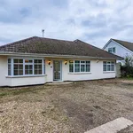 Rent 1 bedroom house in East Of England