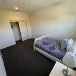 Rent 1 bedroom apartment in Cotati