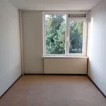 Rent 4 bedroom house of 128 m² in Nijmegen