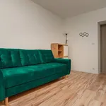 Rent 1 bedroom apartment of 20 m² in Chorzów