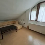 Rent 2 bedroom apartment of 44 m² in Pécs