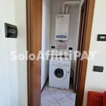 Rent 1 bedroom apartment of 55 m² in vigevano