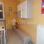 Affitto 2 camera appartamento di 55 m² in Alessandria