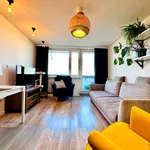 Rent 3 bedroom apartment of 60 m² in Katowice