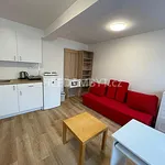 Rent 1 bedroom apartment of 20 m² in Capital City of Prague