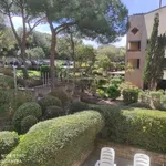 Rent 1 bedroom apartment of 30 m² in Castiglione della Pescaia