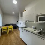 Pronájem propojených apartmánů, 66 m2, Pec pod Sněžkou