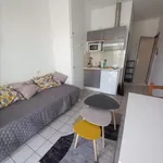 Appartement de 17 m² avec 1 chambre(s) en location à ST CHELY D APCHER