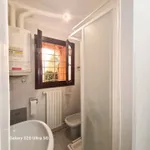 Affitto 1 camera appartamento di 36 m² in Bologna