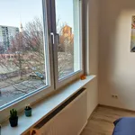 Rent 2 bedroom apartment of 57 m² in Berlin