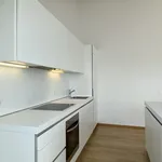 Rent 4 bedroom apartment of 168 m² in Vienna