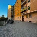 Rent 3 bedroom apartment of 60 m² in Bologna